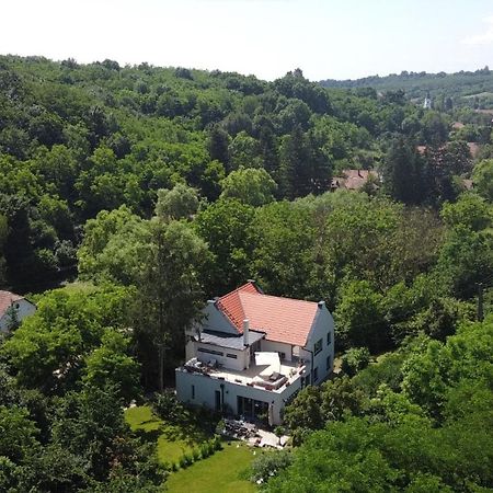 Villa Viridis Buekkalja Borsodgeszt Bagian luar foto