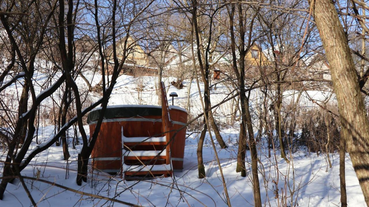 Villa Viridis Buekkalja Borsodgeszt Bagian luar foto