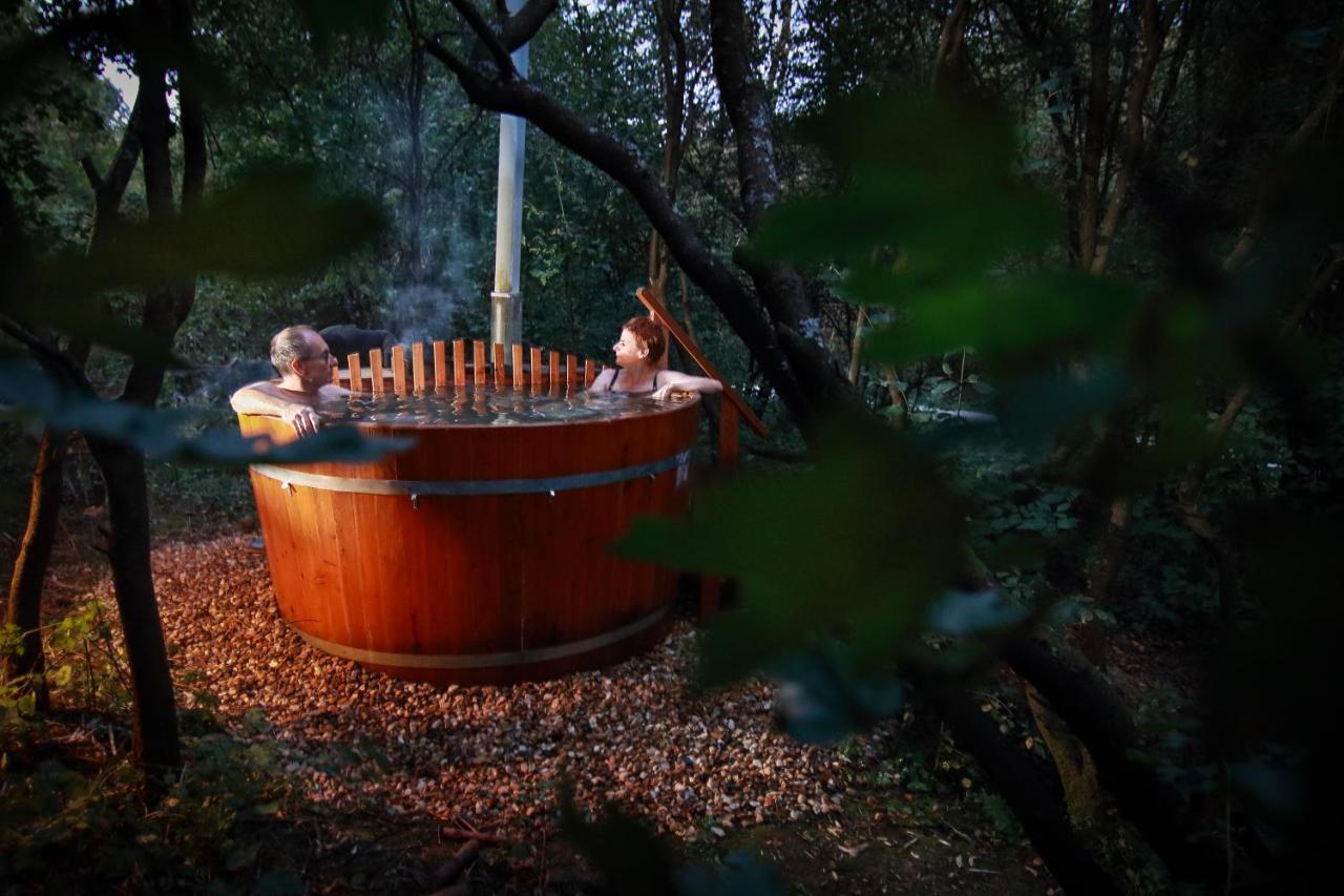 Villa Viridis Buekkalja Borsodgeszt Bagian luar foto