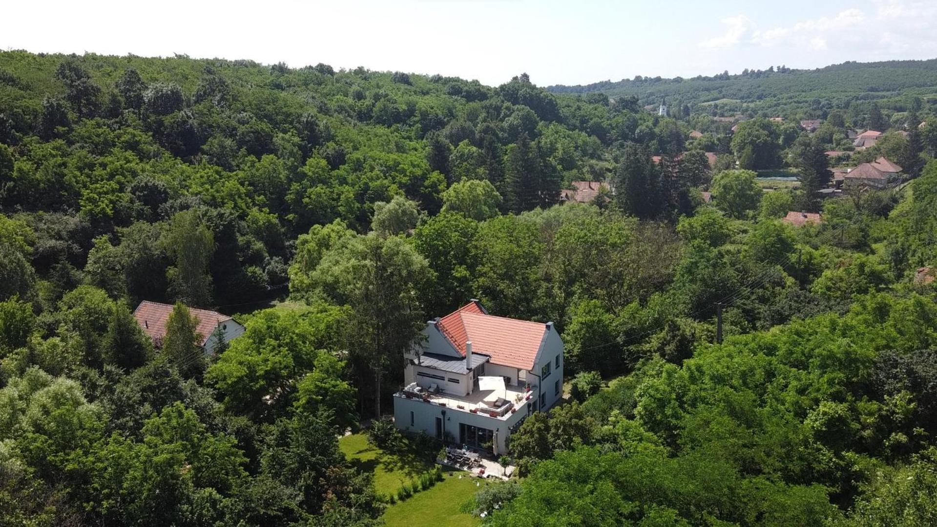 Villa Viridis Buekkalja Borsodgeszt Bagian luar foto
