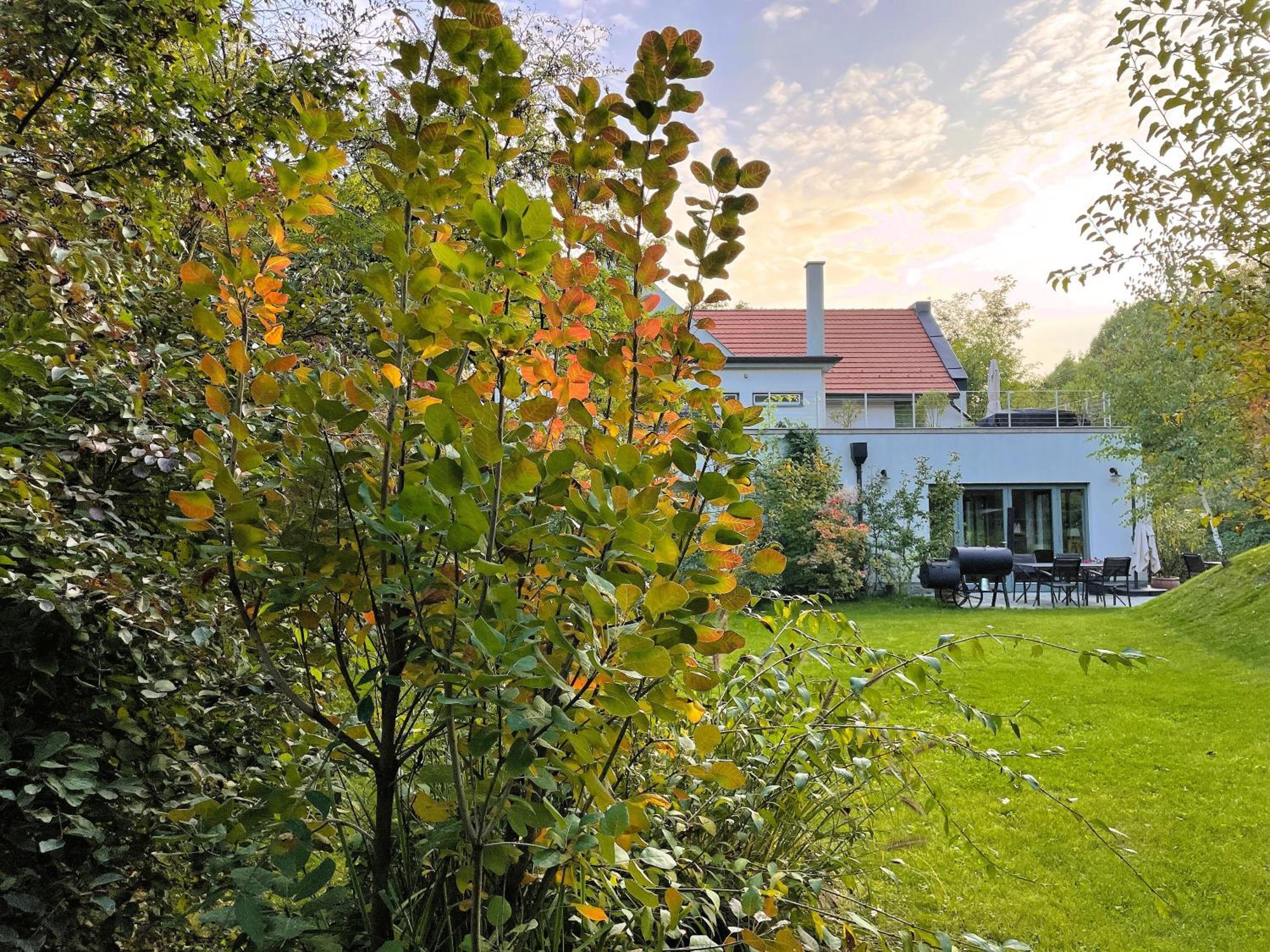 Villa Viridis Buekkalja Borsodgeszt Bagian luar foto