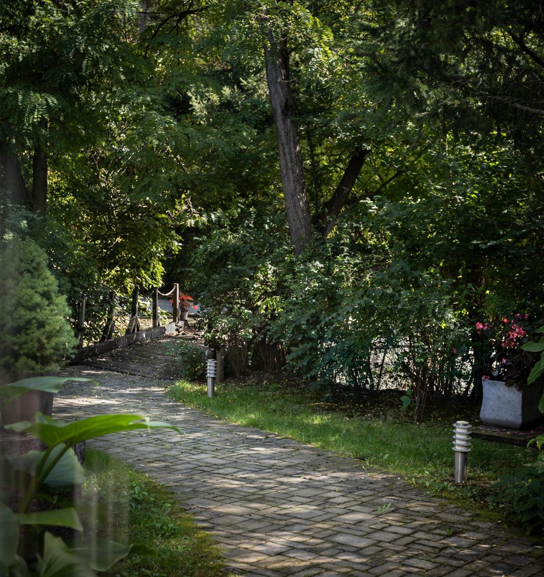 Villa Viridis Buekkalja Borsodgeszt Bagian luar foto